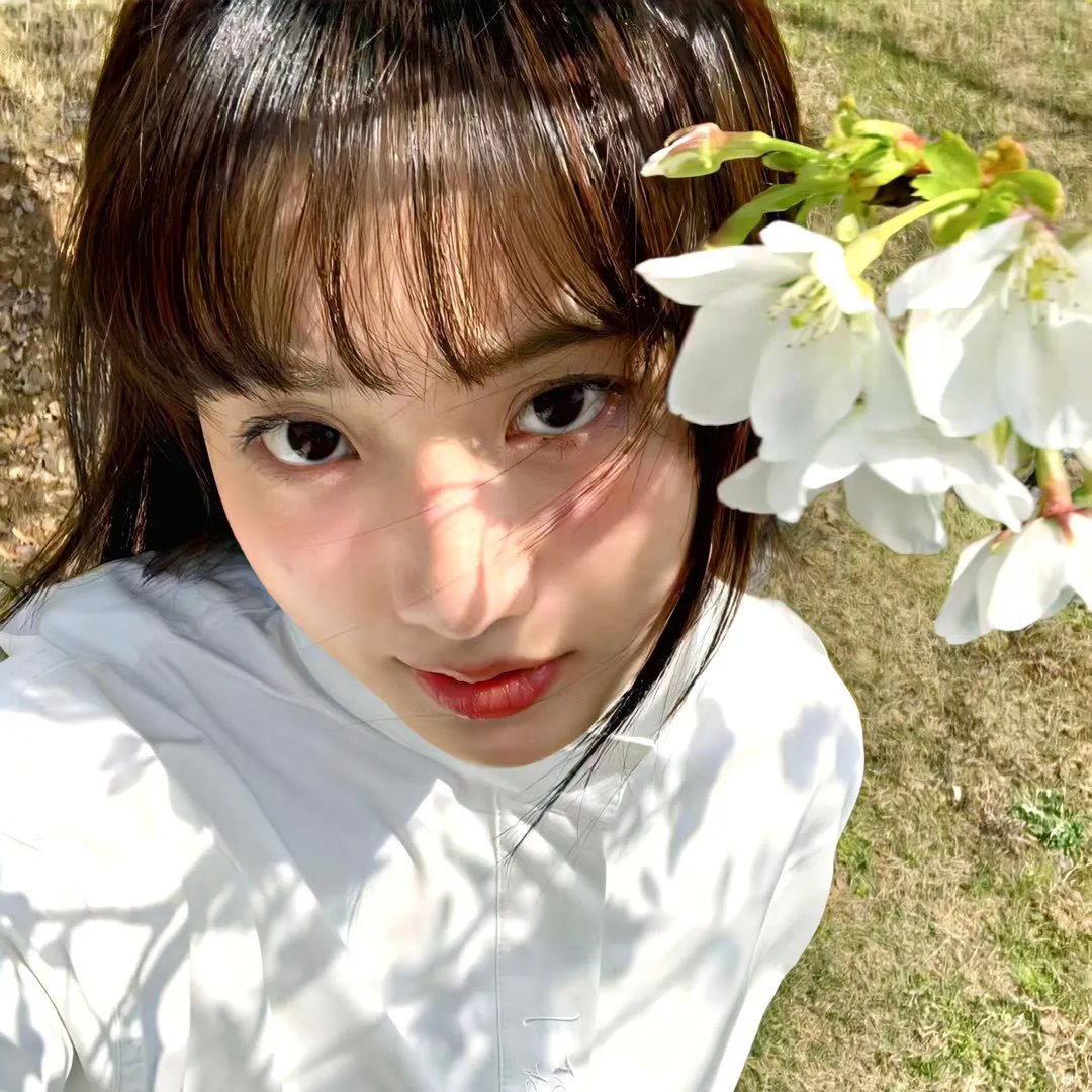 金丝雀驯养手册总裁的金丝雀